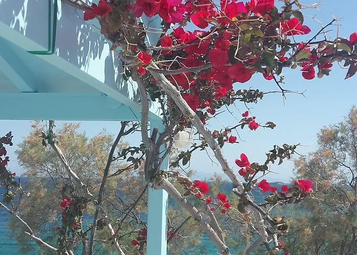 Paros Carmel Studio-apartment Apartamento *