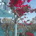 Paros Carmel Studio-apartment شقة *