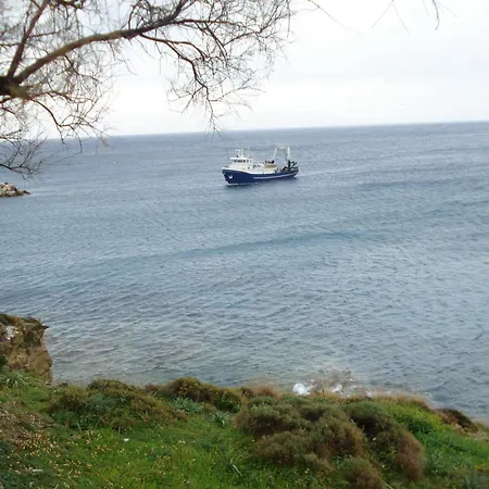 Paros Carmel Studio-apartment Daire Logaras