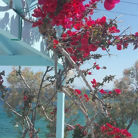 Paros Carmel Studio-apartment Daire *